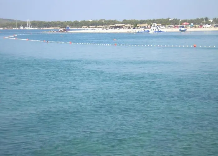 Apartament One-bedroom Near